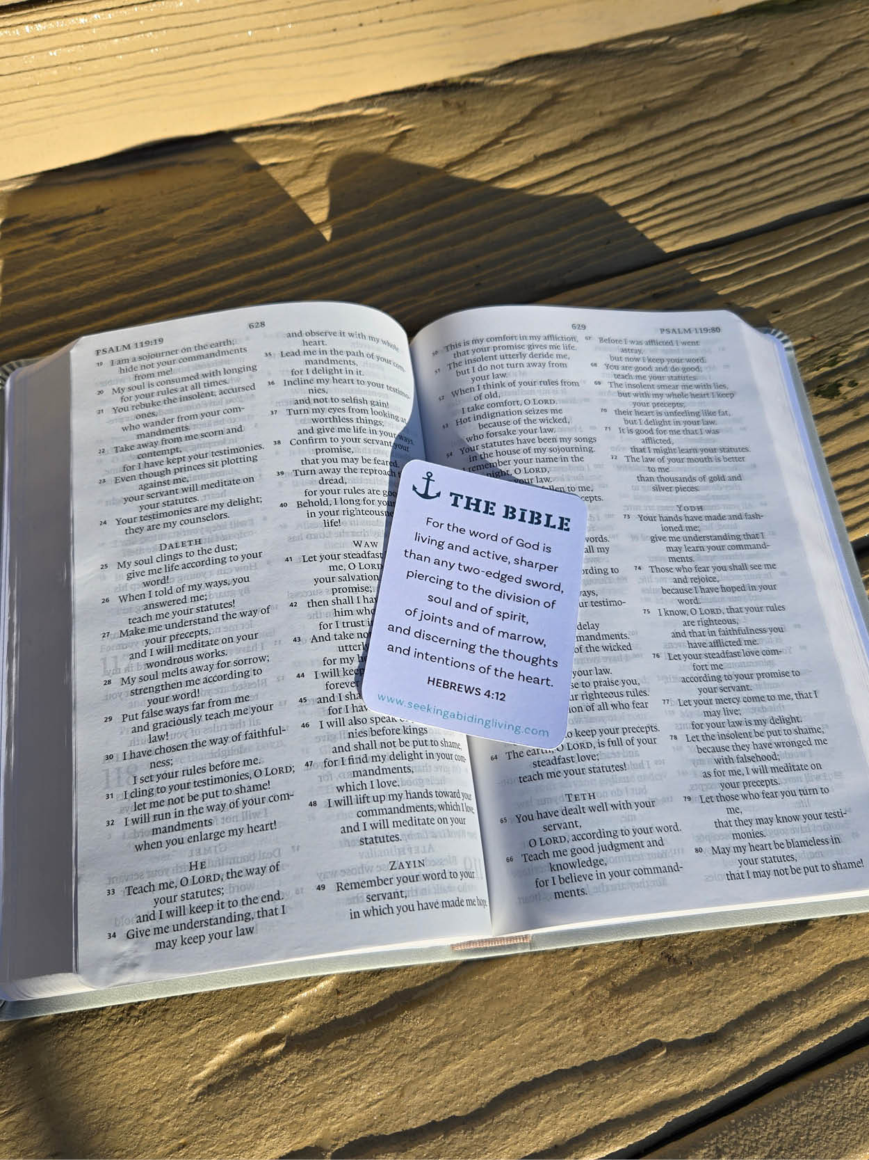 Living Truth: The Bible