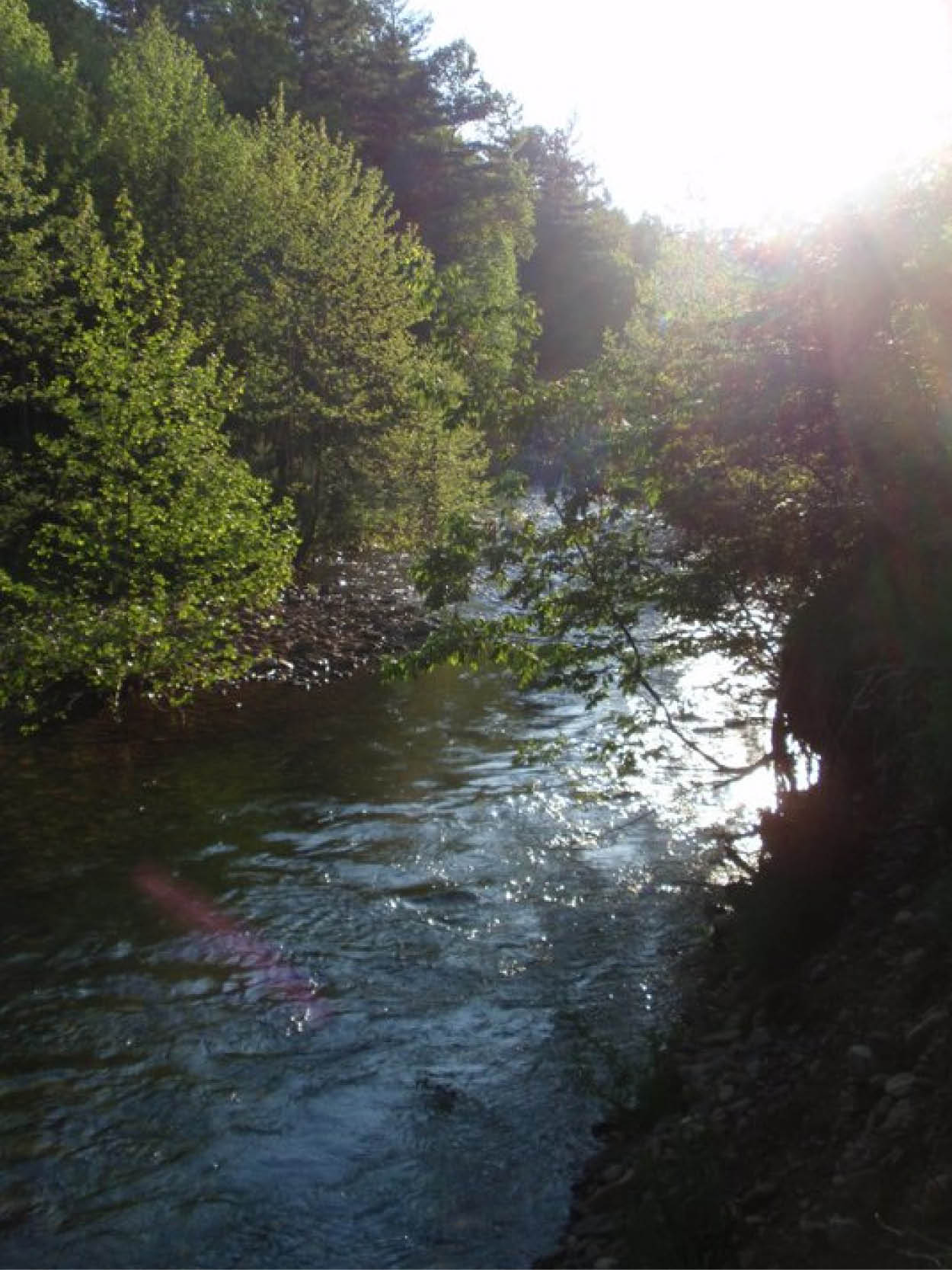 Seeking Still Waters