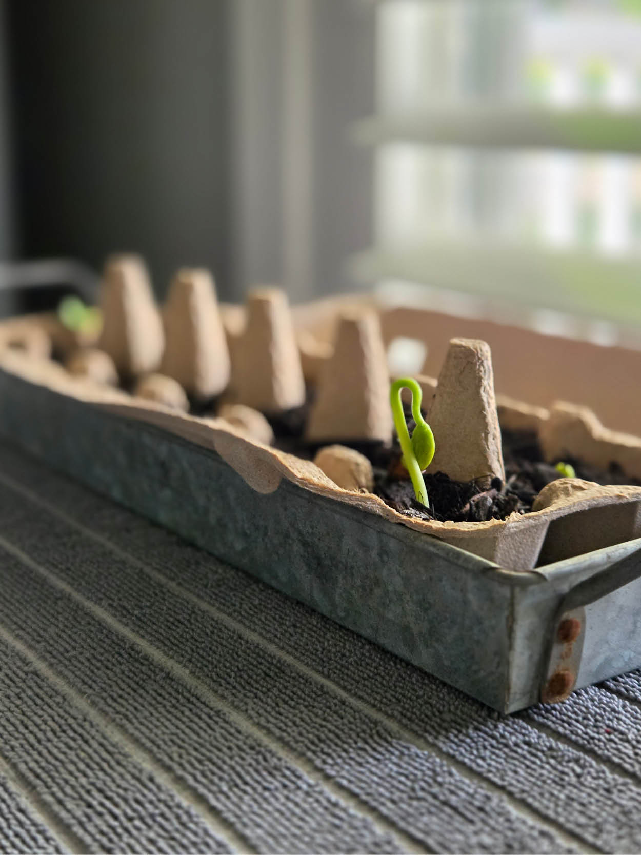 Living Truth: Sanctification